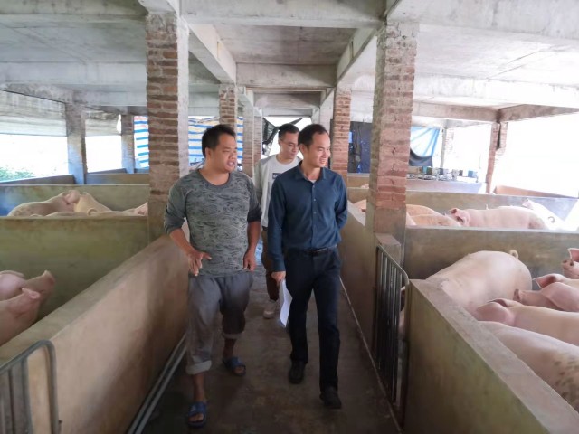 珠海驻化州市乡村振兴工作组 开展产业帮扶项目调研